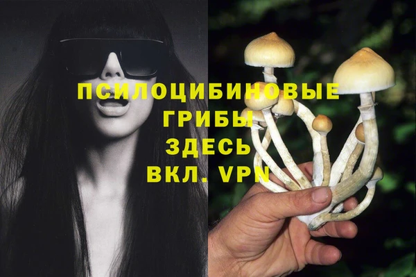 не бодяженный Волоколамск