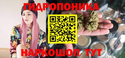 индика Апшеронск