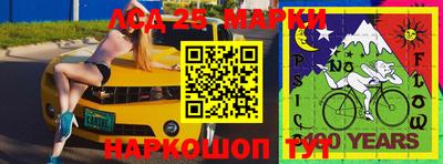 гидра Аргун