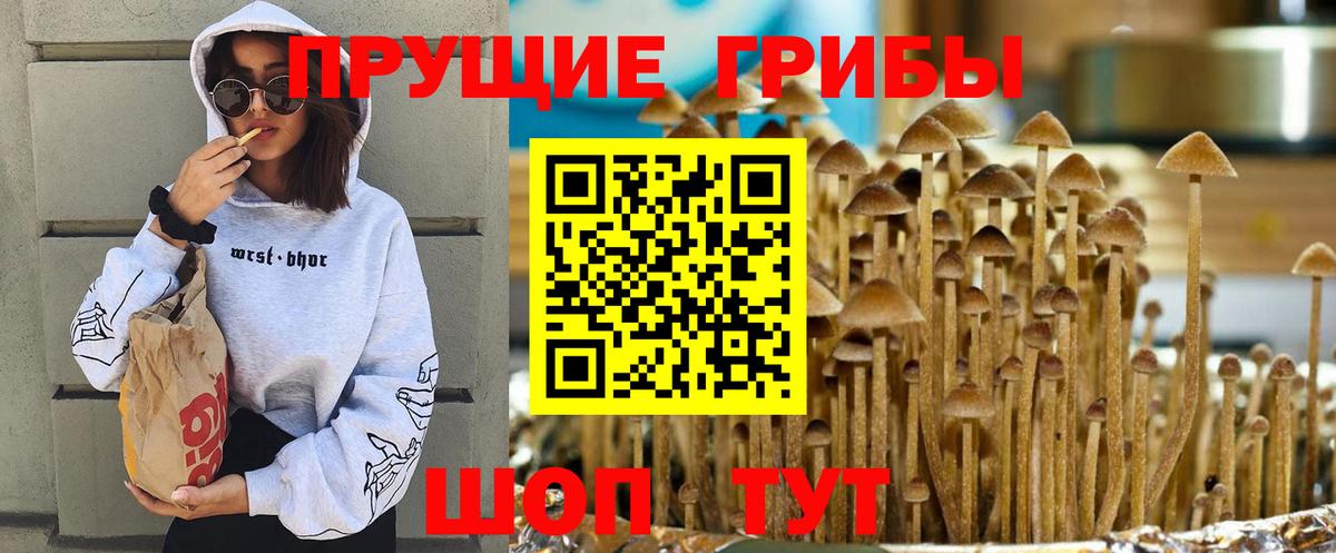 Выкса  Псилоцибиновые грибы Magic Shrooms  Псилоцибиновые грибы MAGIC MUSHROOMS  Вход с VPN 