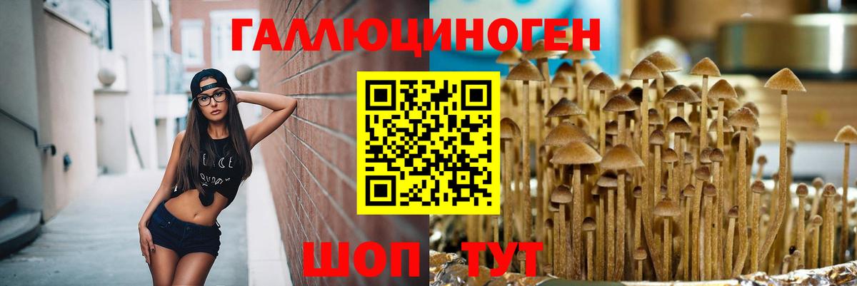 Псилоцибиновые грибы мицелий Выкса