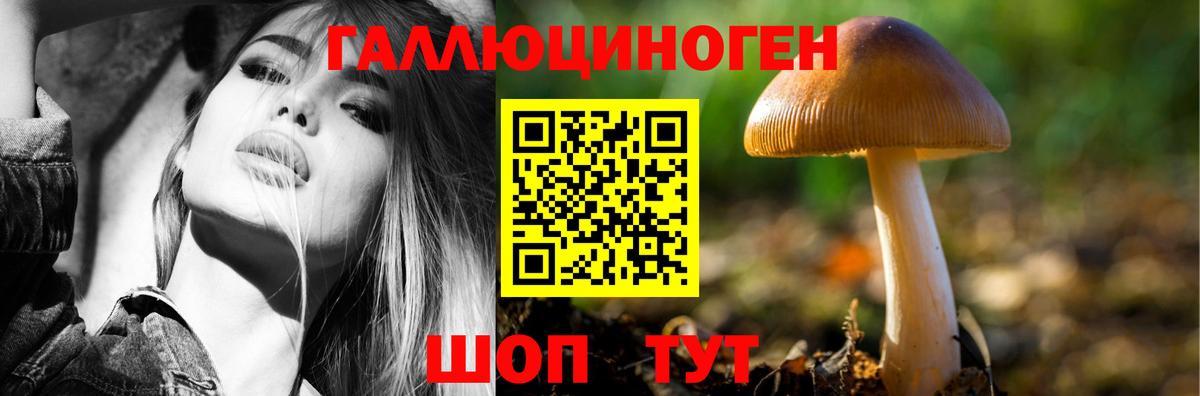 Псилоцибиновые грибы мицелий  Выкса 